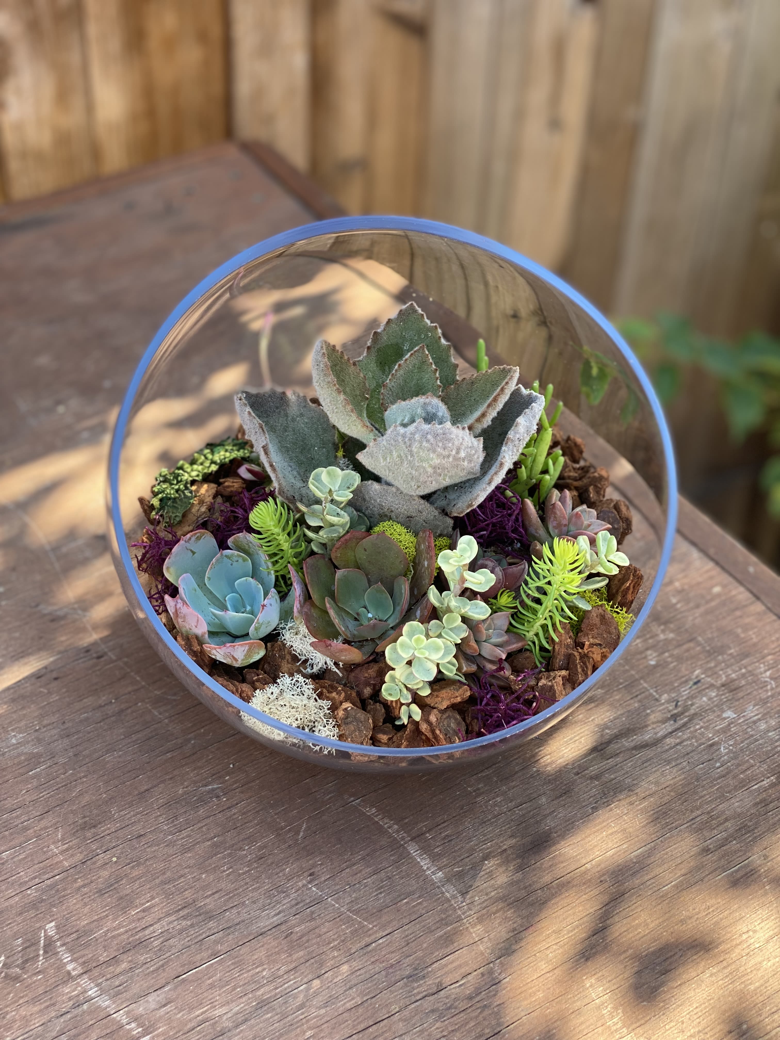 Succulent arrangement in a clear glass bowl with mixed rosette plants