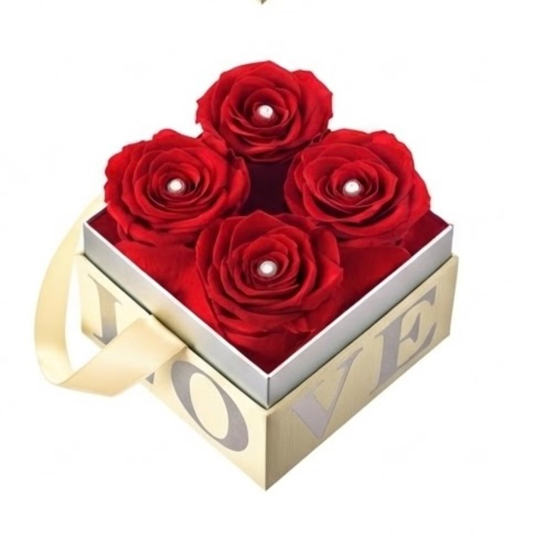 Four red roses in a square gift box with a ribbon handle