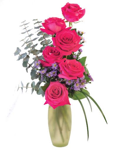 Hot Pink Roses Floral Design - Hot Pink Roses is a stunning arrangement with a half dozen roses and purple Monte Casino asters! This fiery design is perfect for a loved one or significant other and will leave them blushing all day! Send these beauties and show your love today.  Includes: Green Frosted Trio Vase , Greens: Spiral Eucalyptus , Salal , Lily Grass , Flowers: Pink Hot Roses , Purple Monte Casino Asters.