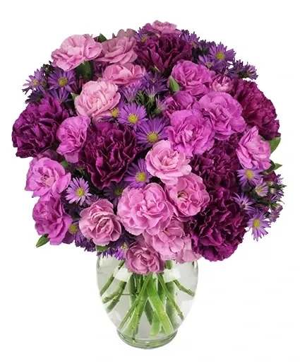 Purple Passion Flower Arrangement - This blossoming bushel of regality is bound to turn some heads! This over-the-top bundle of dark purple carnations, asters, lavender &amp; dark lavender mini carnations placed inside of a ginger jar vase is a divine treat for the eyes. This captivating arrangement is sure to ignite the passion with the royal queen in your life.  Includes: Ginger Jar Vase, Foliage: Variegated Pittosporum, Dark Purple Carnations, Lavender Mini Carnations, Dark Lavender Mini Carnations, Purple Asters (Monte Casino).