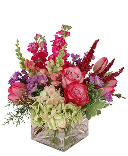 Lively &amp; Luscious Vase Arrangement - These spunky blooms are just what they need to brighten their day! This luscious bouquet is full of tulips, roses, snapdragons, and more. Send these lively flowers to someone you love just because! Perfect for any occasion, this arrangement will have them feeling extra appreciated.  Includes: Cube Vase, Greens: Variegated Pittosporum, Carolina Sapphire, Flowers: Antique Green Hydrangea, Fuscia Tulips, White Calcinea, Burgundy Upright Amaranthus, Fuscia Stock, Pink Roses, Light Pink Snapdragons, Purple Monte Casino Asters.