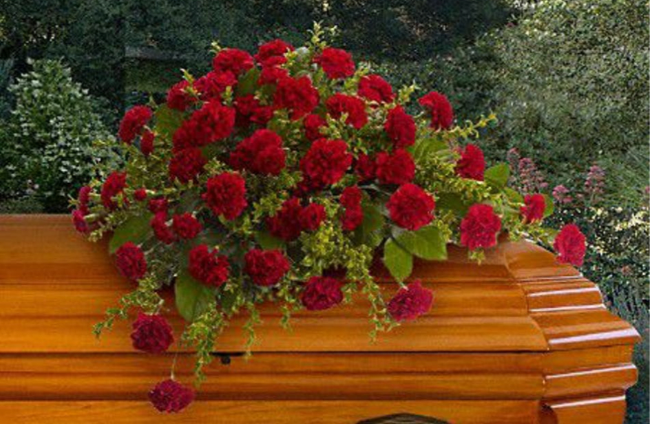 Adoration Casket Spray - With dignity and grace, brilliant red carnations express the depth of your heartfelt feelings, and the tenderness of your everlasting devotion.