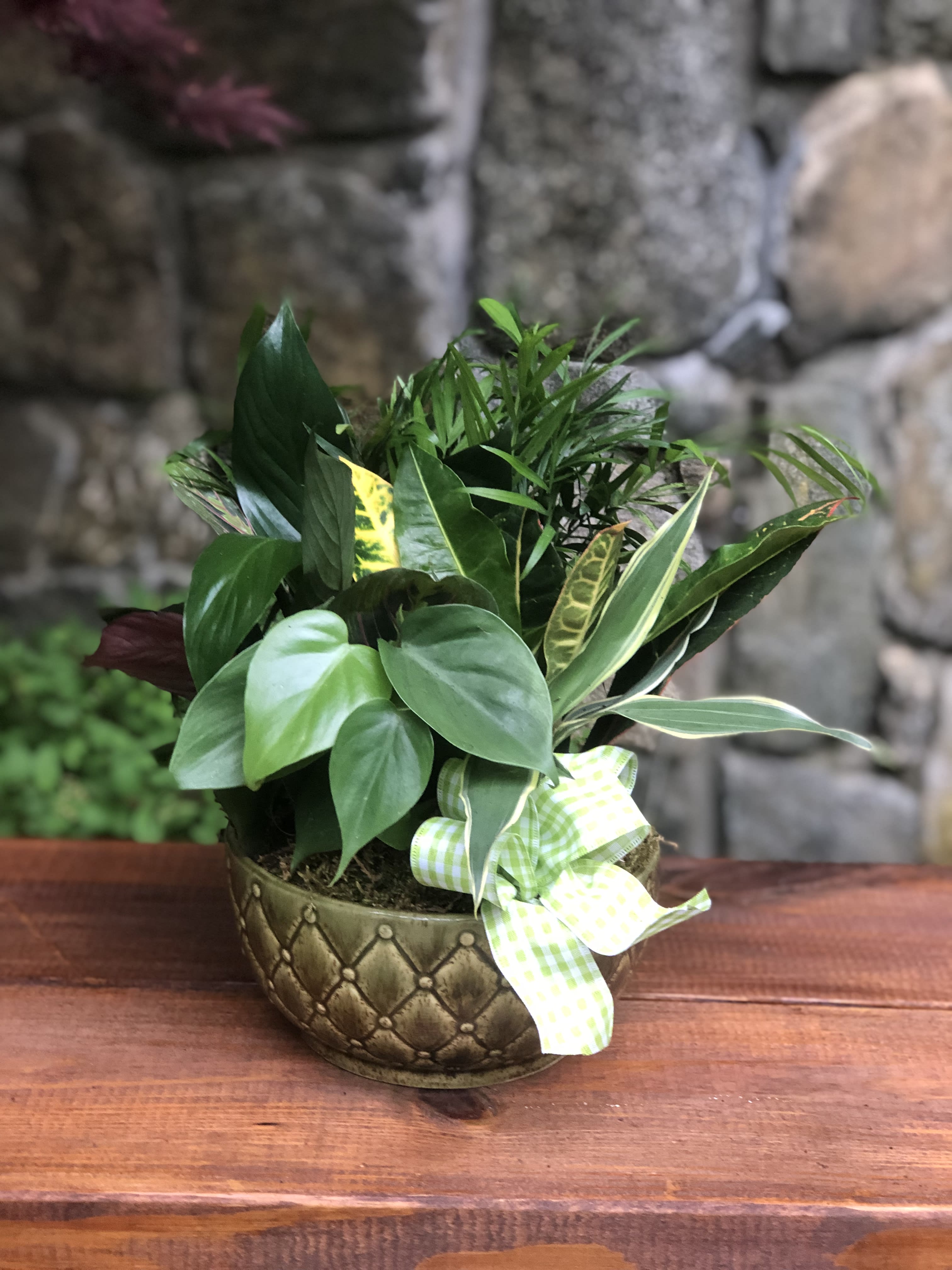 Mixed green houseplant arrangement in a decorative bowl with a ribbon