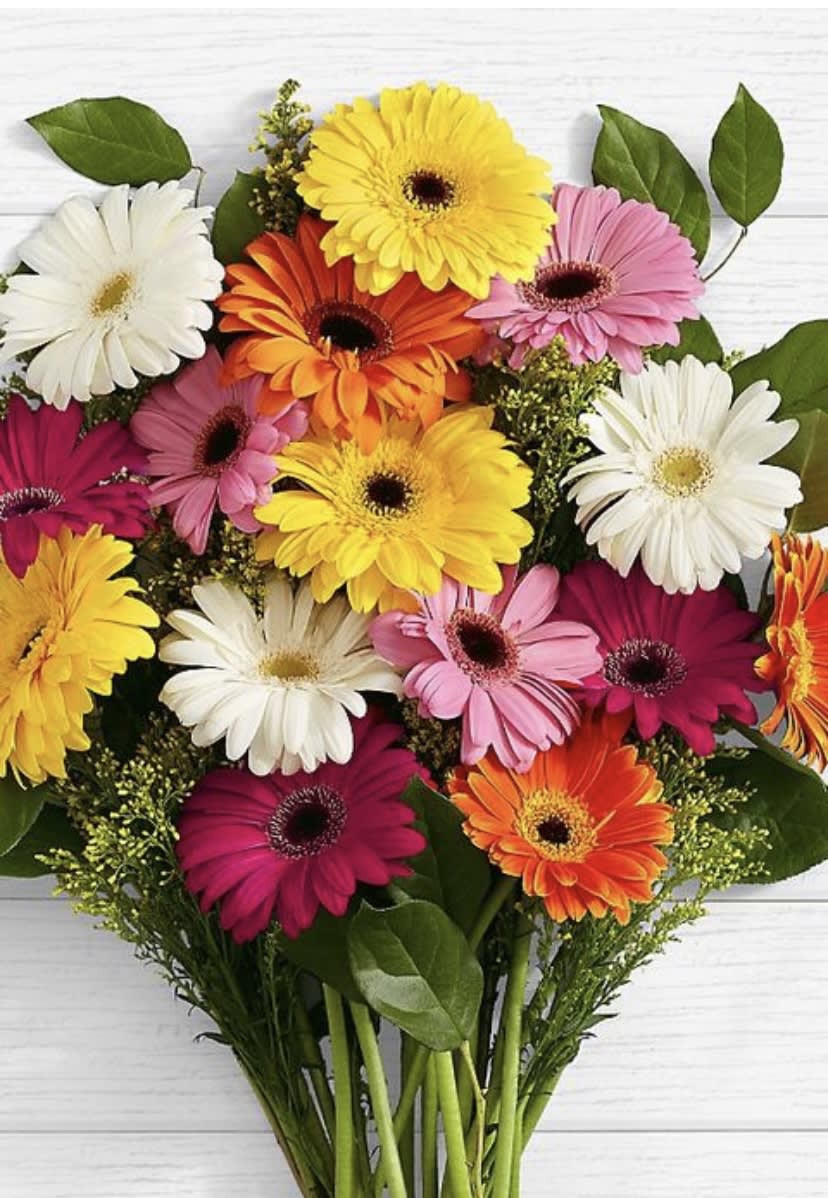 Bouquet of colorful gerbera daisies with green leaves