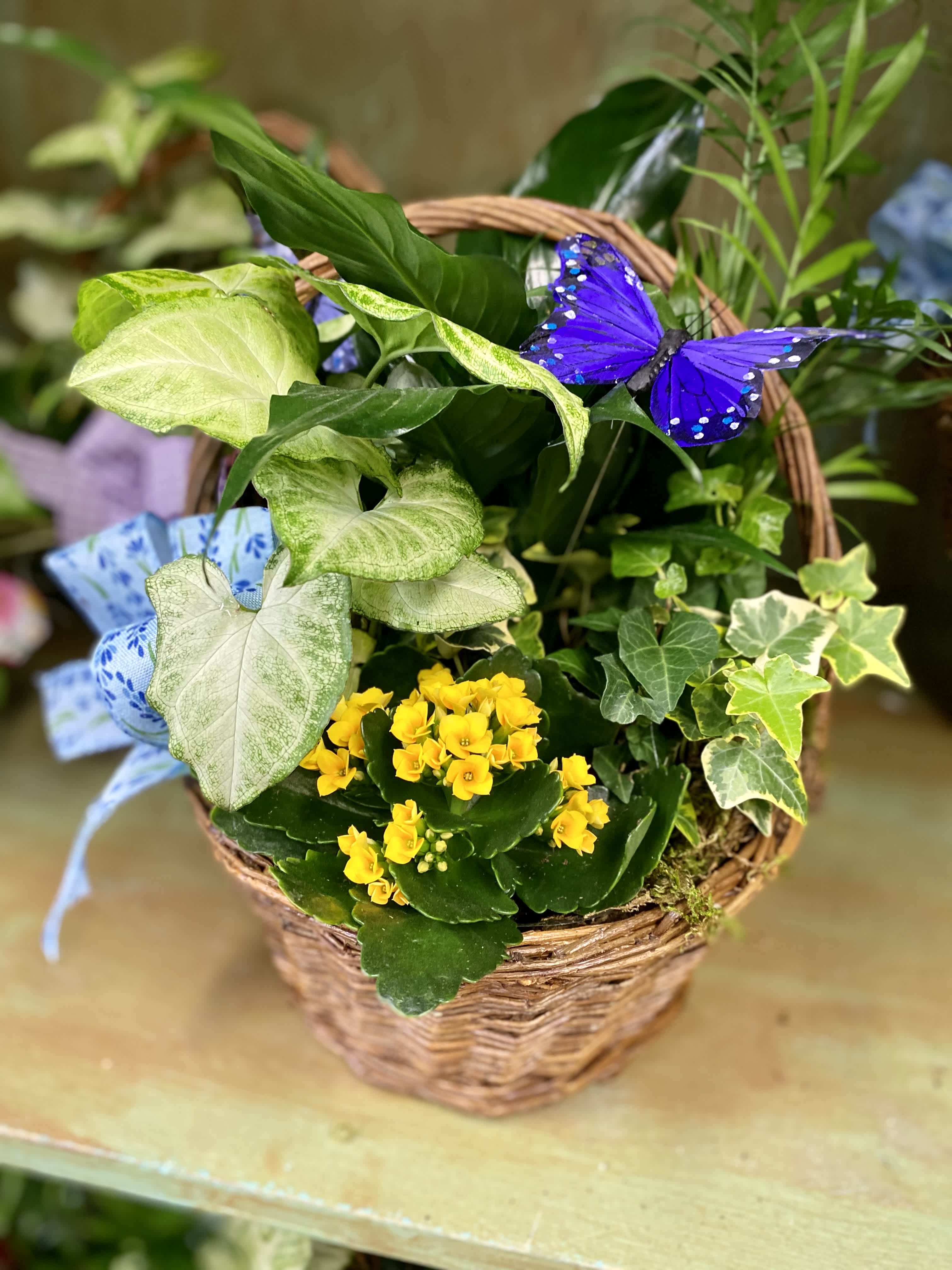Basket planter with green foliage, yellow flowers, and a purple butterfly decoration