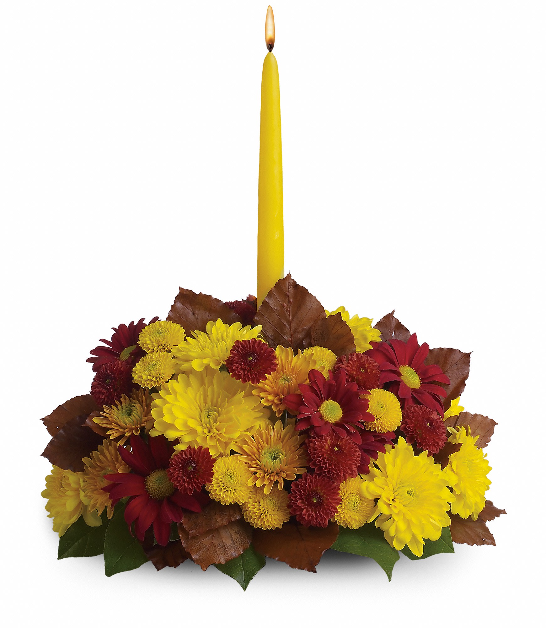 Harvest Happiness Centerpiece - Fall's rainbow of rich hues are on display with three different varieties of chrysanthemums in shades ranging from burgundy and bronze to sunny yellow. Copper colored beech is a great accent. So, go ahead, harvest a whole bunch of happiness and share it with those you love. Approximately 12" W x 14" H. T168-2A
