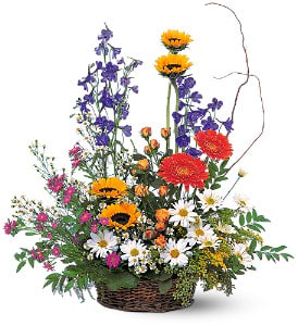 Tall mixed basket arrangement with yellow and orange daisies, red gerbera, purple delphinium, and white daisies