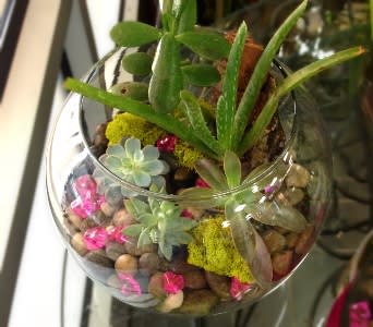 Glass bowl terrarium with assorted succulents and pebbles