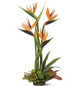 Tall tropical orange blooms with long green leaves arranged in a low round bowl