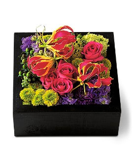 Square black box filled with hot pink roses, yellow-red tropical blooms, and green button flowers.