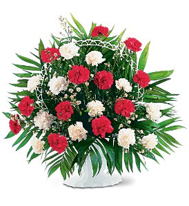 Red and white carnations arranged in a white standing basket