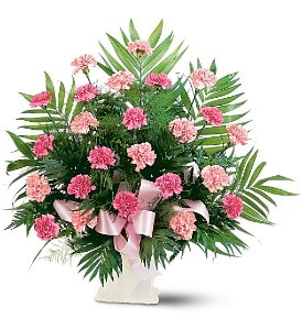 Tall fan-shaped arrangement of pink carnations with pink ribbon in a white urn