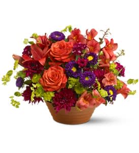 Bright arrangement of orange roses with purple and red blooms in a low terracotta pot