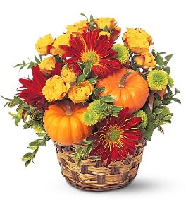 Autumn basket with orange pumpkins, red daisy-style blooms and yellow flowers