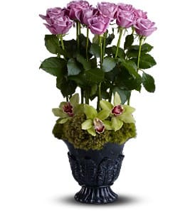 Tall arrangement of lavender roses with green orchids in a black urn-style vase
