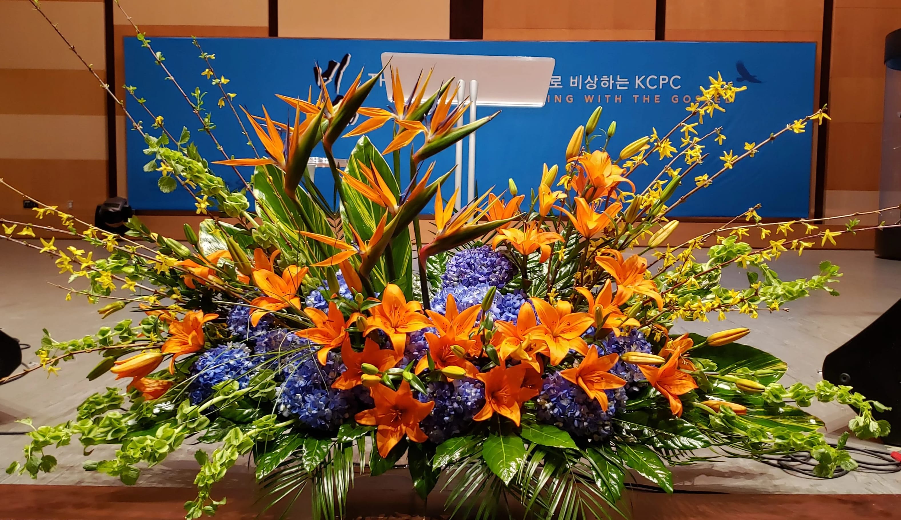 Large stage arrangement of orange lilies, blue hydrangeas, and birds-of-paradise in a sweeping design.