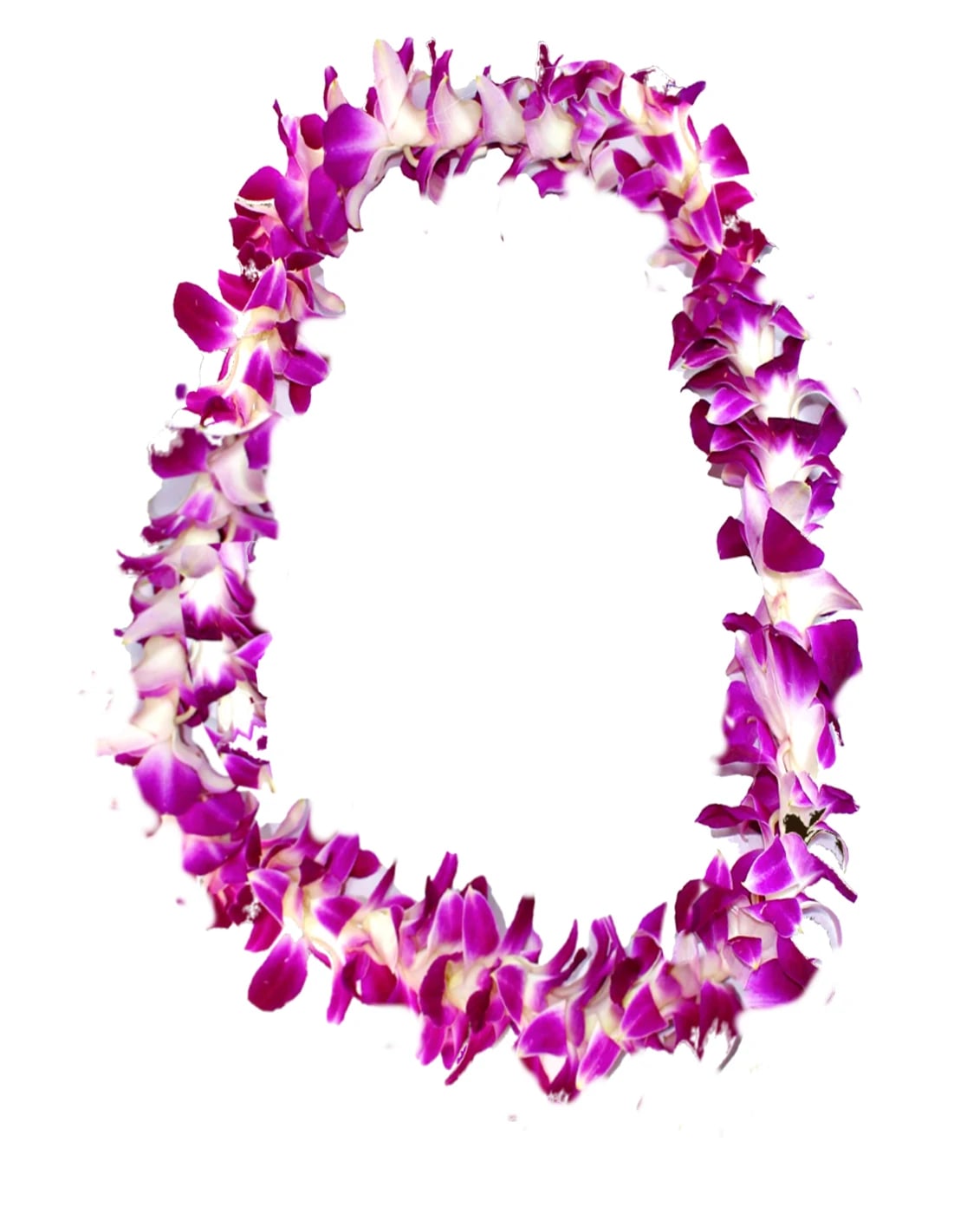 Purple and white orchid lei on a white background
