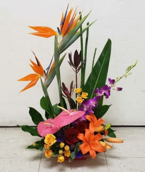 Tropical flower arrangement with orange bird-of-paradise and orchids