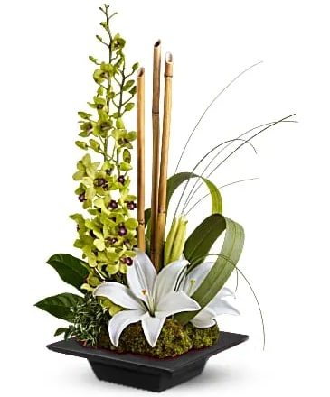 [TT-SOASIS]:  SECRET OASIS by Twin Towers Florist - Arlington VA - SECRET OASIS by Twin Towers Florist in Arlington, VA  This lovely, serene bouquet makes a Zen-sational gift for any special occasion. They'll be thrilled with this artistic arrangement of orchids, lilies and exotic accents in a black pagoda dish. It's like a trip to Shangri-La.  Approximately 15 1/2" W x 22 1/2" H 