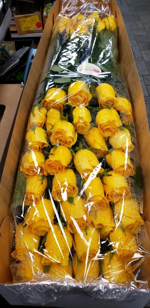 Long box filled with rows of yellow rose stems wrapped in clear plastic with water droplets.