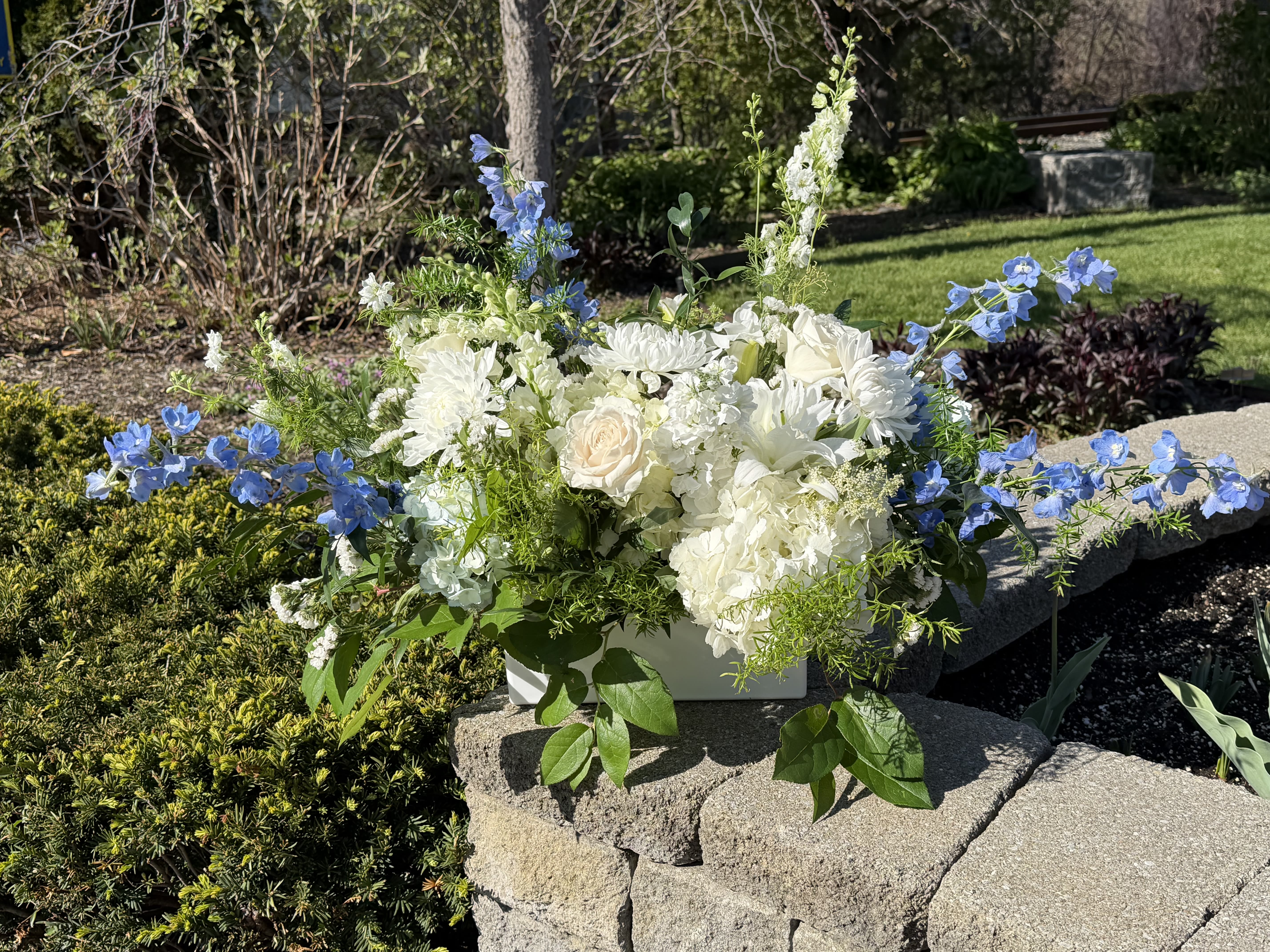 Heavenly peace  - A serene cluster of white roses, hydrangeas and chrysanthemums framed by tall blue delphinium creates a peaceful, garden-inspired sympathy arrangement perfect for memorials or a refined wedding centerpiece. This low rectangular arrangement communicates calm and comfort-the person you're honoring will feel seen and soothed by the soft white blooms and the cool, uplifting blue accents.  Built in a rectangular container, the design spreads outward with rounded white flowers at the center and airy blue spires extending on both sides, softened by trailing greenery along the edges. The mix of textures-creamy roses, cloud-like hydrangeas, button chrysanthemums and vertical delphinium-gives a layered, slightly asymmetrical look that reads elegant without feeling stiff. Sized as a large, expansive arrangement, it fills tabletops or a service space while remaining low enough for easy conversation.  Ideal for a sympathy tribute, memorial service, or an understated wedding detail, this composition sends a message of peace and thoughtful remembrance. Order with confidence for delivery to a chapel, home or reception; its fresh-cut blooms benefit from regular water changes and a cool display location to keep the arrangement looking its best.