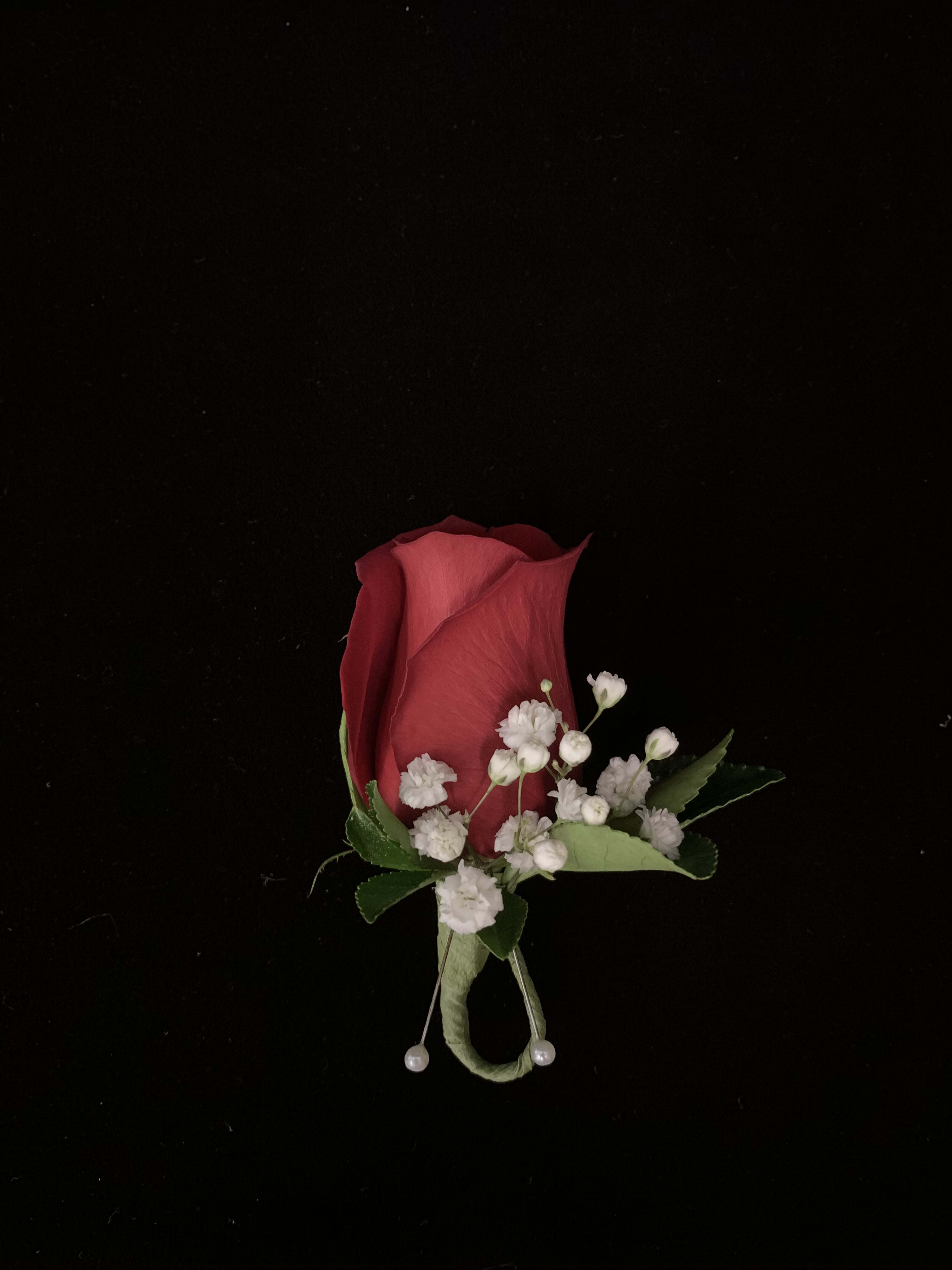Red rose boutonniere with white baby's breath on a black background