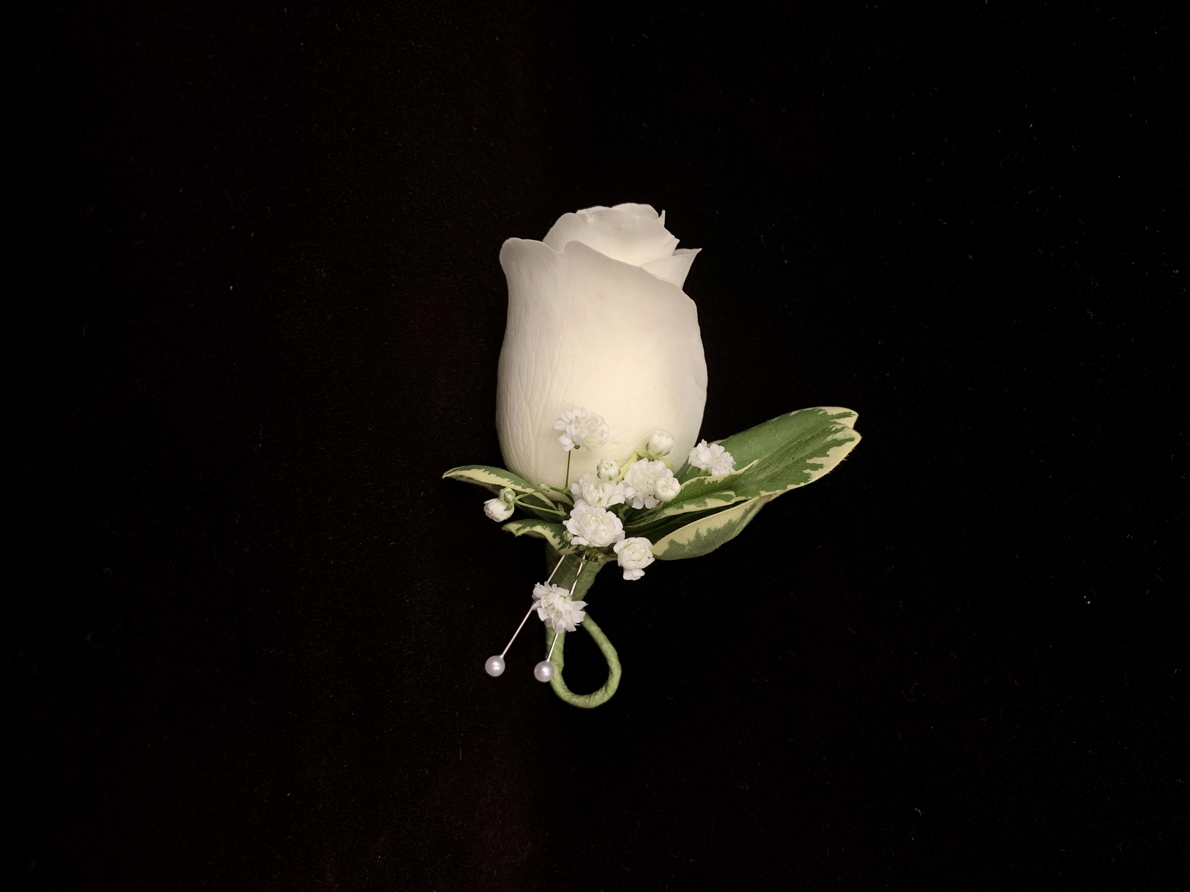 White rose boutonniere with small white accent flowers