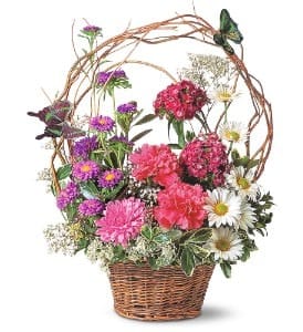 Birthday Butterflies [TF46-3] - There''s nothing like a beautiful bouquet with bright butterflies to make any birthday better.  Asters, carnations and chrysanthemums arrive in a wicker basket with brightly colored butterflies atop.  Approximately 14" W x 17" H  Orientation: All-Around      As Shown : TF46-3  