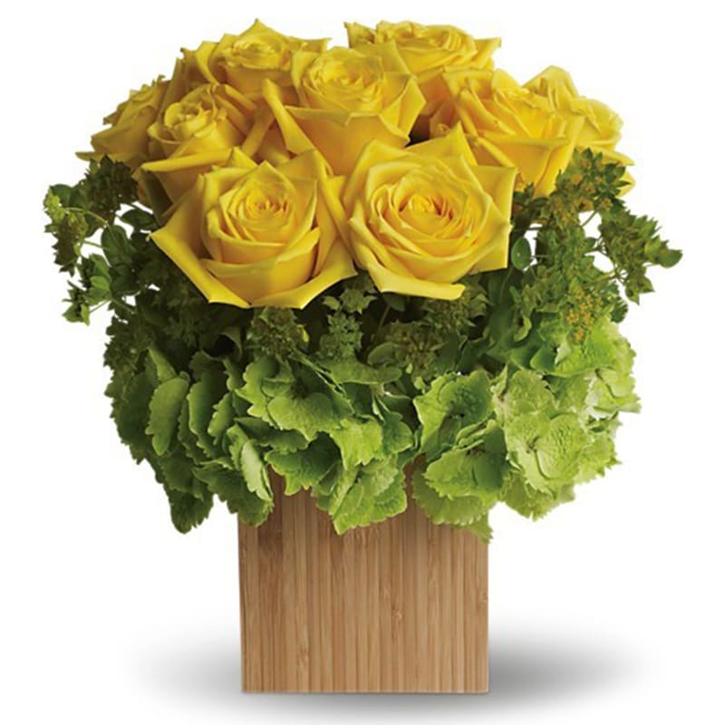 Box of Sunshine [T72-2A] - Let the sunshine in! This brilliant mix of flowers is hand-delivered in natural bamboo cube. You can't help feeling happy and warm all over just by looking at it.  Pretty yellow roses rest inside brilliant green hydrangea, all inside an exclusive natural bamboo cube. Imagination blossoms right here!  Approximately 11 1/2" W x 12 1/4" H  Orientation: All-Around      As Shown : T72-2A