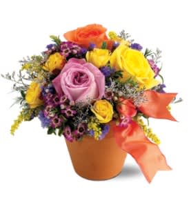 Sweet 'n Simple [TF-F8] - Capture the spirit of the garden and send it to a special friend or loved one. These dew-kissed roses are the perfect choice for sending your wishes or used as a table decoration.  Orange, yellow and pink roses with delicate greens.  Approx. 8" H x 8" W  Orientation: All-Around      As Shown : TF-F8  