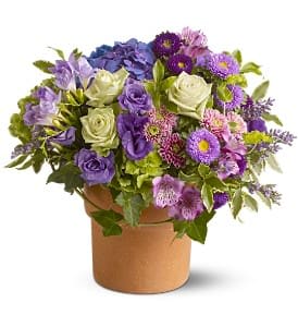 Sweet Wishes [TFWEB317] - Send sweet wishes someone's way with this beautiful medley of lavender, green and purple blooms that will brighten up their day! This splendid mix of blossoms is a lovely choice as a get-well gift, or to lift someone's spirits - and the terra-cotta pot gives it a "fresh from the garden" feeling.  An assortment of fresh flowers such as roses, hydrangea, lisianthus, asters and chrysanthemums in shades of green, lavender and purple – accented with greenery – is arranged in a terra-cotta pot.  Approximately 15" (W) x 14" (H)  Orientation: All-Around      As Shown : TFWEB317  