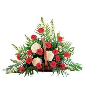 Cherished Moments Fireside Basket [TF207-8] - This beautiful red and white arrangement reflects all the moments that you cherished together.  One classic arrangement of white snapdragons, standard chrysanthemums and red carnations arrives in a natural fireside basket.  Approximately 40" W x 28" H  Orientation: One-Sided      As Shown : TF207-8  