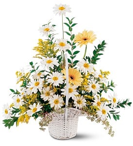Drop of Sunshine Basket [TF221-4] - A sparkling basket of white and yellow flowers provides warmth and comfort, too.  One arrangement arrives with white daisies and yellow gerberas and solidaster, in a white wicker basket with a handle.  Approximately 21" W x 24" H  Orientation: One-Sided      As Shown : TF221-4  