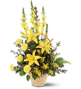 Ray of Hope Arrangement [TF187-3] - Like a ray of hope, this wonderful arrangement of yellow carnations, snapdragons and lilies will spread warmth and inspiration.  One arrangement with yellow carnations, snapdragons, lilies, solidaster and decorative foliage is delivered in a round wicker basket.  Approximately 20" W x 33" H  Orientation: One-Sided      As Shown : TF187-3  