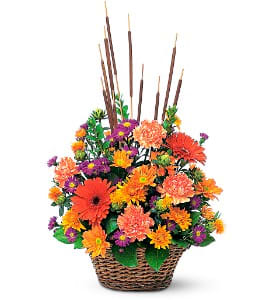 Fall Meadow  - This beautiful basket filled with orange and purple flowers is topped with striking cattails. What splendor in the garden!  Carnations, chrysanthemums, gerberas and cattails are delivered in a wicker basket.  Approximately 14" W x 27" H  Orientation: All-Around      As Shown : TF76-2  