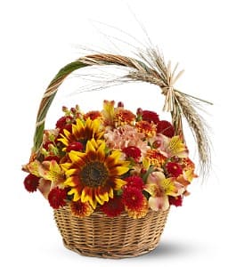  Harvest Basket [TFWEB237] - If you lived in the country, you might go into the garden on a crisp fall afternoon, and arrange bright blossoms into a wicker basket to adorn the evening meal. This splendid rustic mix of butterscotch, orange and bronze blossoms - arranged in a harvest basket adorned with wheat and raffia - is a beautiful tribute to the season.  Butterscotch carnations and miniature sunflowers, orange alstroemeria, bronze and brown buttons spray chrysanthemums, red hypericum; and bear grass are delivered in a handled basket adorned with dried wheat and raffia.  Approximately 10" (W) x 13" (H)  Orientation: All-Around      As Shown : TFWEB237  
