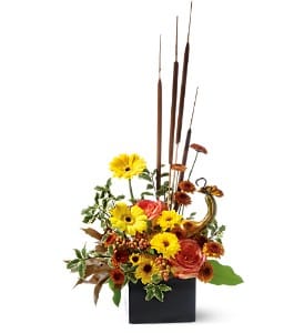  Autumn Arcadia  - We've taken autumn's rustic splendor and given it a decidedly modern spin. Artistically arranged to showcase fall's rich range of flowers and foliage, it's a striking accent for any setting.  • A square black planter holds bi-colored roses, Viking novelty spray chrysanthemums, button spray chrysanthemums, cattails and salal, with accents of pitta negra, fall foliage and with a decorative gourd.  Approximately 8" (W) x 20" (H)  Orientation: All-Around      As Shown : TF-WEB54  