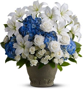 Tranquil Seas [TFWEB560)] - Say farewell to a beloved friend, family member or business associate with a serene blend of white and blue blossoms, reminiscent of the peaceful sea. This charming bouquet - hand-delivered in a classic urn - will be a thoughtful reminder of your devotion.  A mix of fresh blue and white flowers such as roses, Asiatic lilies and hydrangea is delivered in Teleflora’s Grecian Garden urn.  Approximately 19" (W) x 22" (H)  Orientation: All-Around      As Shown : TFWEB560  