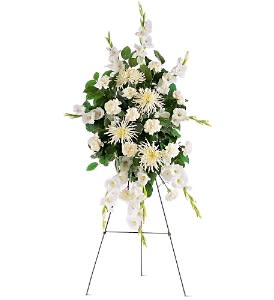 White Promises Spray - This traditional spray, filled with white carnations, chrysanthemums and gladioli, makes the promise that love is eternal.  One spray, decorated with white carnations, chrysanthemums and gladioli, is accented with rich green foliage and is delivered on an easel.  Approximately 32" W x 48" H  Orientation: One-Sided      As Shown : TF188-2 