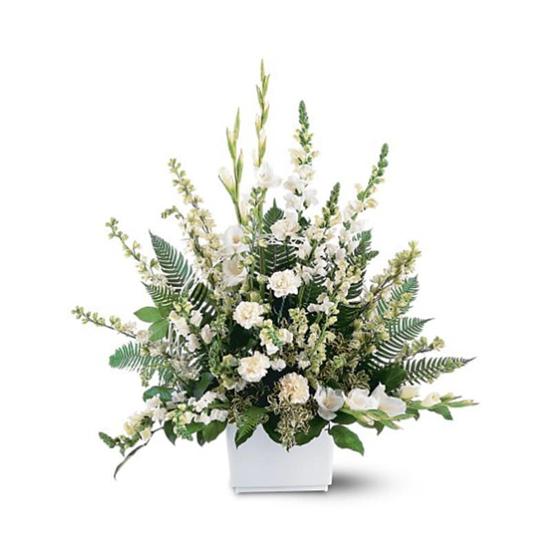 White Expressions Basket [TF195-1] - If you want to pay tribute in a grand manner, send this impressive arrangement of white flowers. They'll convey exactly how you feel.  One funeral basket arrives with white carnations, gladioli, larkspur and snapdragons in a traditionally styled design.  Approximately 33" W x 38" H  Orientation: One-Sided      As Shown : TF195-1  