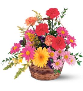 Vibrant Basket Arrangement [TF217-2] - This lovely little basket filled with orange, red, purple and yellow flowers, beautifully conveys your thoughts.  One arrangement arrives with orange and red carnations, a yellow gerbera, snapdragons, solidaster and lavender daisies in a natural wicker basket.  Approximately 17" W x 15" H  Orientation: One-Sided      As Shown : TF217-2  