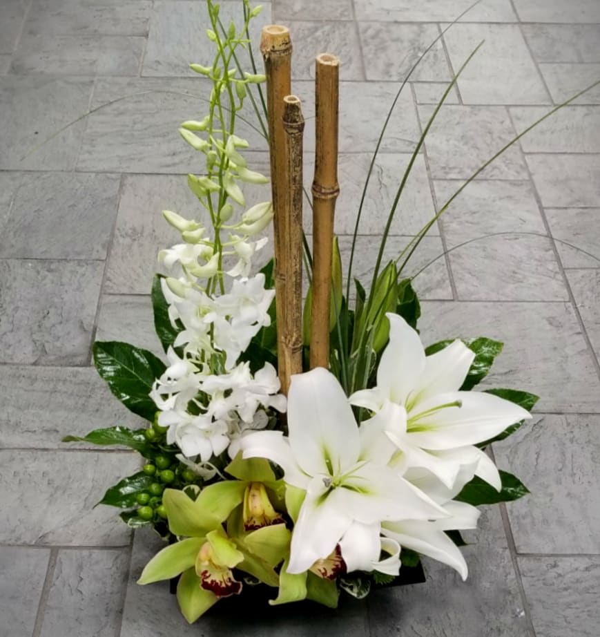 AURORA - AURORA BY TWIN TOWERS FLORIST