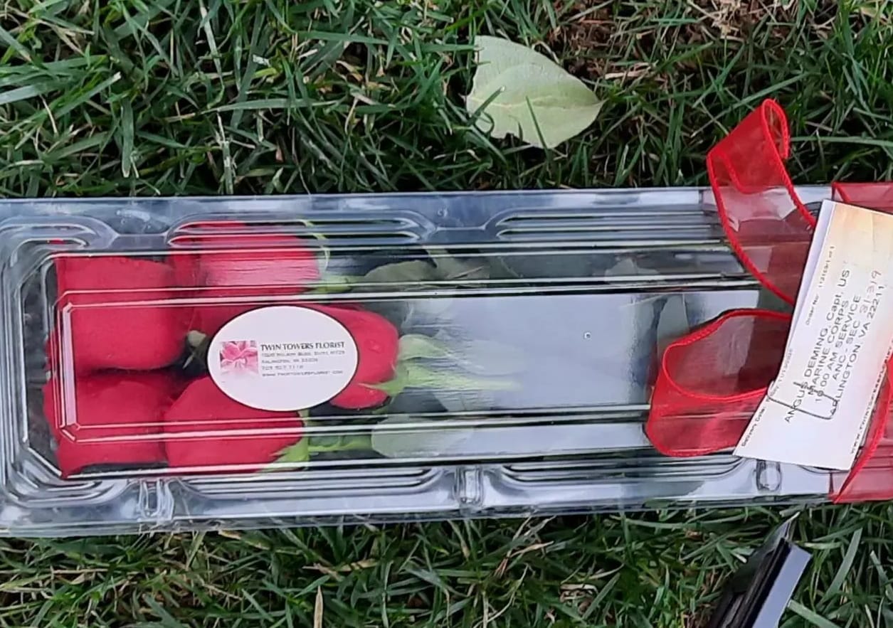 Single red rose in a clear plastic box with a ribbon