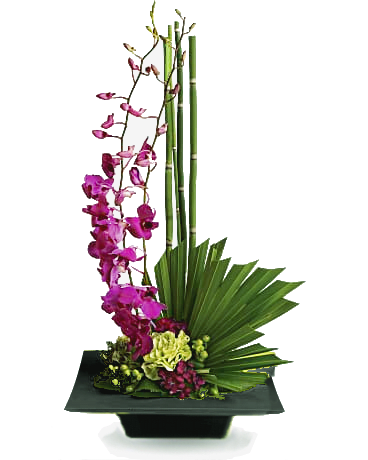 Zen Artistry [T81-1A] - It's artistic arrangements like this one that make flowers such an integral and beautiful ingredient in feng shui. A brilliant green container and exotic palm leaf provide the perfect backdrop for purple orchids and a mix of delightful tropical flowers. This gift takes artistry to new heights.  Purple dendrobium orchids, green carnations, dark pink Sweet William, an emerald palm leaf and other tropical greens are arranged in a square kiwi-colored container. Perfect when you've got a yen to send Zen!  Approximately 12 1/4" W x 23" H  Orientation: One-Sided      As Shown : T81-1A