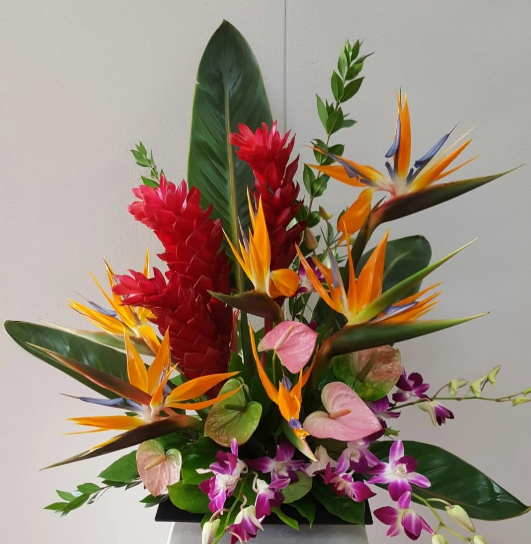 Tropical arrangement with bird of paradise, red ginger, and orchids in a black container