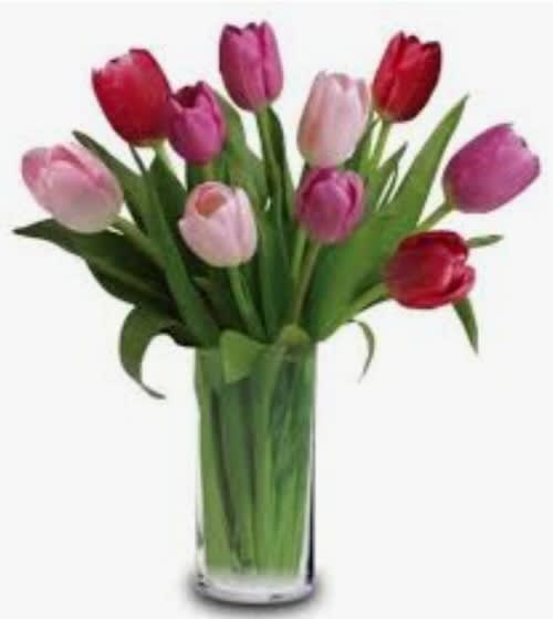 Bouquet of multicolored tulips in a clear glass vase