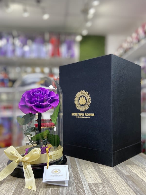 Single purple rose under a glass dome with a black gift box beside it