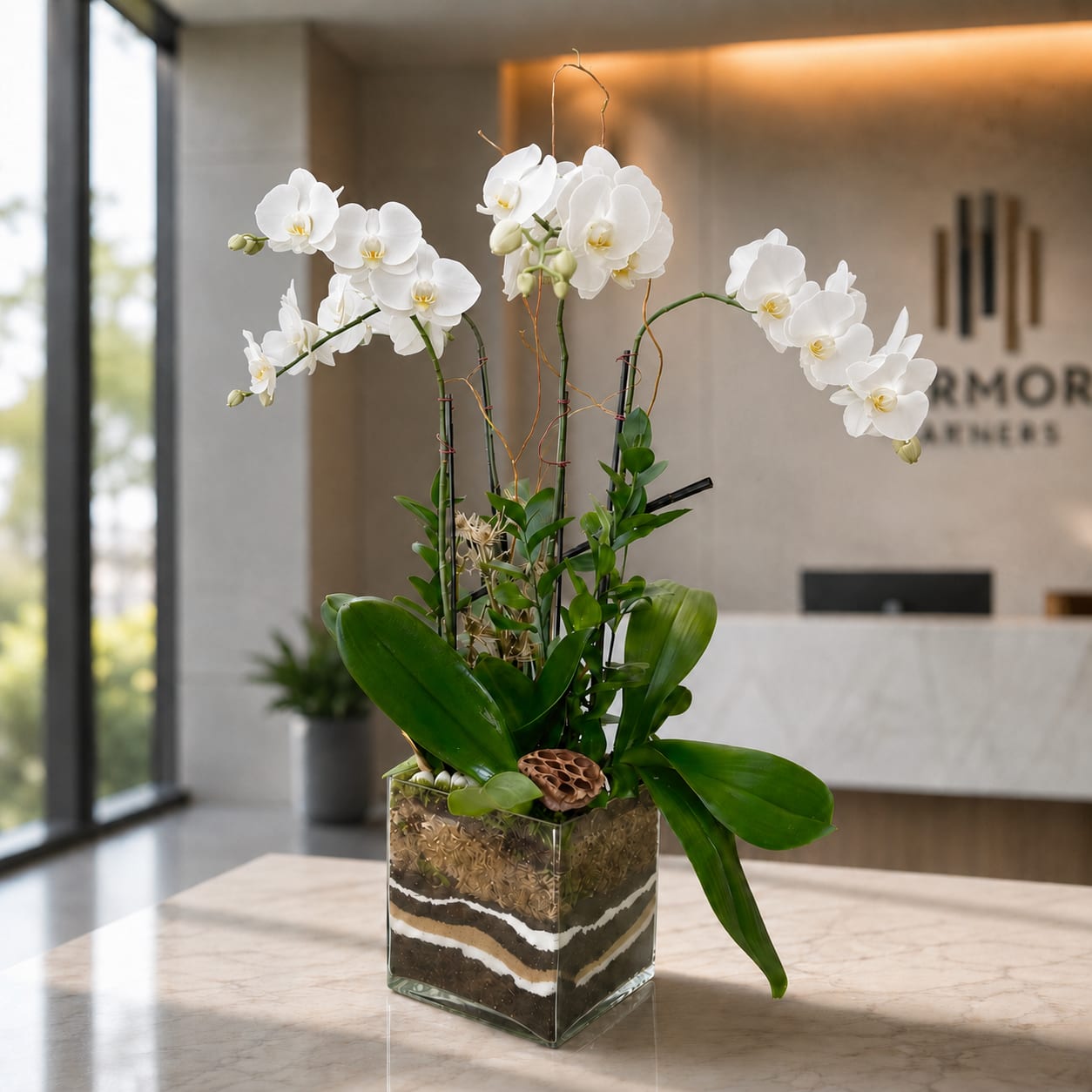 Phalaenopsis Quatro Orchid Plant - White - Several arching stems of white Phalaenopsis orchids create a serene, modern statement-perfect as a birthday bouquet alternative, an anniversary gift, or a tasteful sympathy arrangement. The clean white blooms and restrained green palette give the person you're thinking of an immediate sense of calm and elegance, the kind of gift that reads as both thoughtful and refined.  