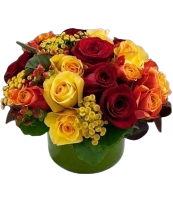 2 dozen Fall Rose Bowl - In the French Pave style , a unique Rose arrangement with Bright Fall Colored Roses , Premium roses and fantastic greens arranged with seasonable greens and berries . Approximately 14-18 by 14-18 inches . Arranged in a Glass Cylinder.