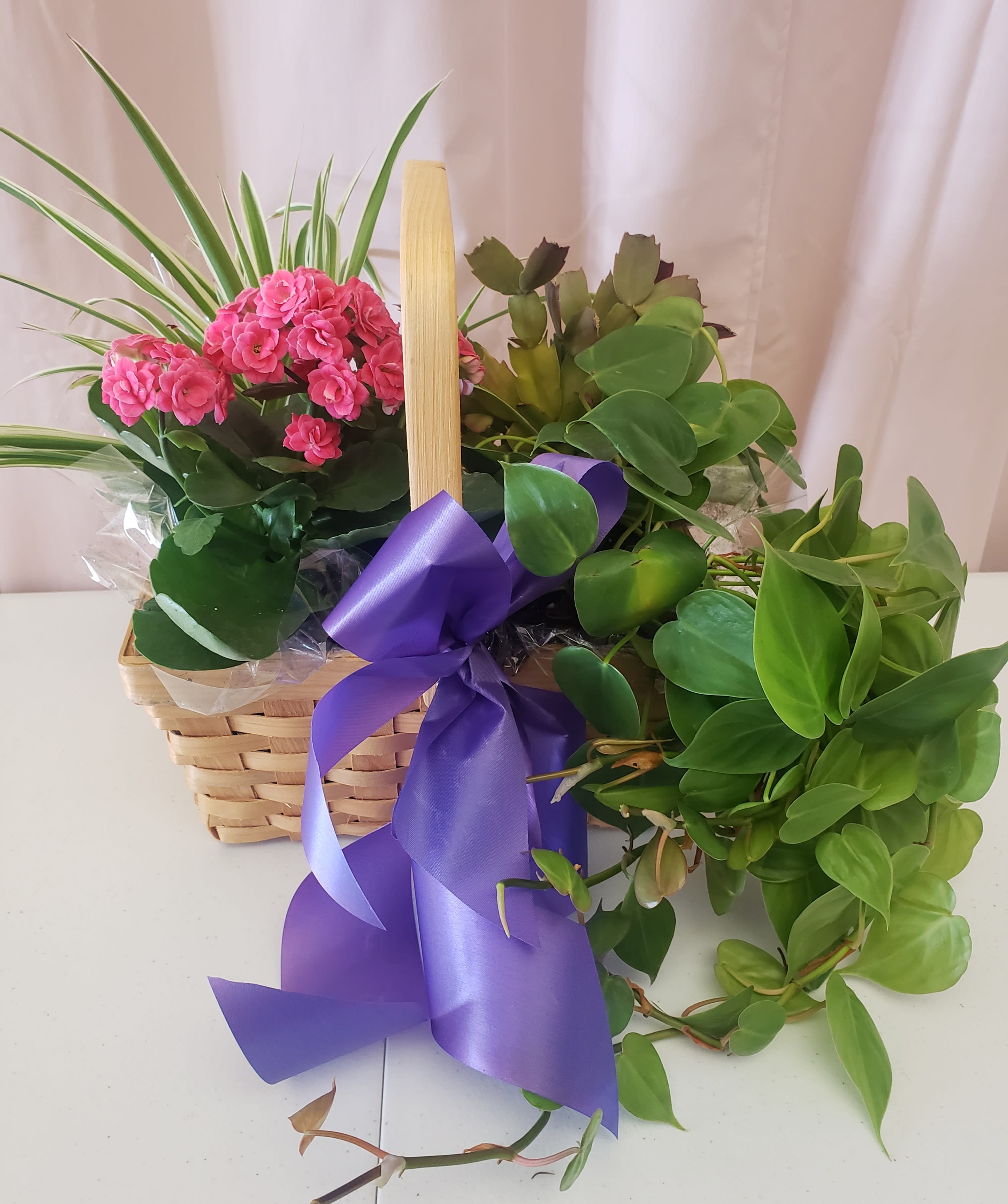 Basket of pink flowers and green plants tied with a purple ribbon